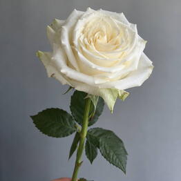 Flowers for Happiness