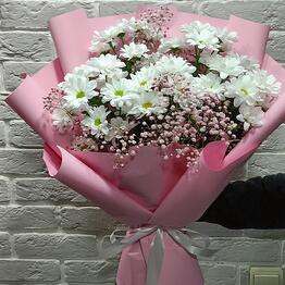 Elite Rose