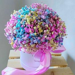Rainbow gypsophila in a box M