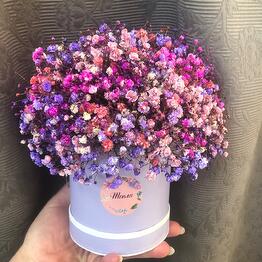 BLUME
