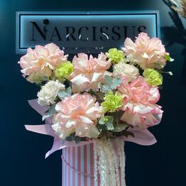 NARCISSUS
