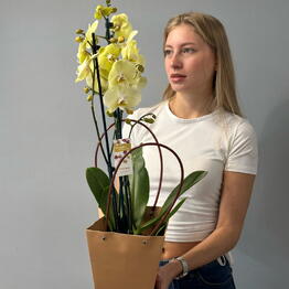 Колибри Цветы 