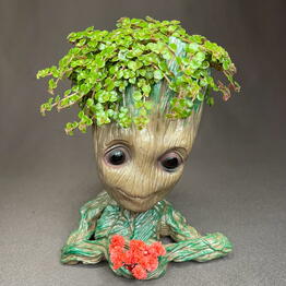 GreenDecor