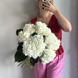 MIDORI WHITE