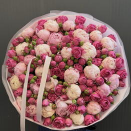 Why Not Flowers