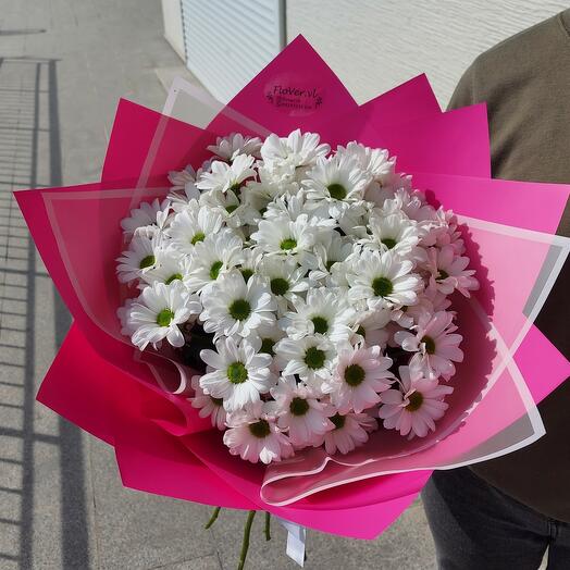 Стойкие ромашки