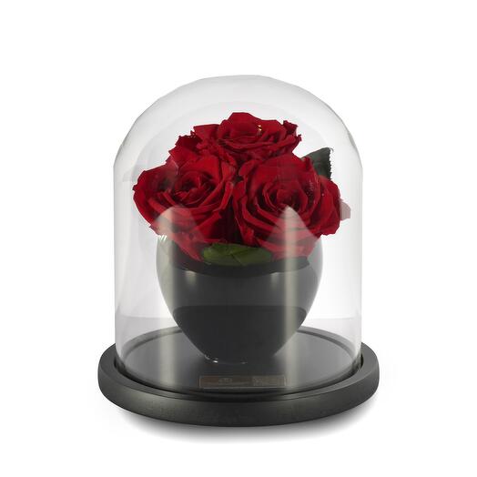 Scarlet Red Preserved Roses in crystal vase Trio