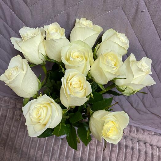 Roses 50 cm Ecuador big head
