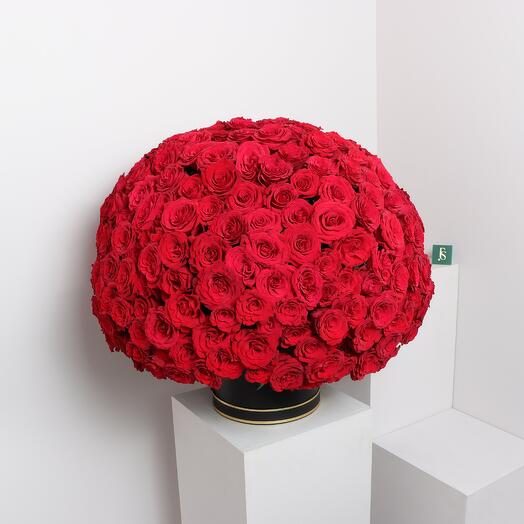 300 Red Roses Sphere Box