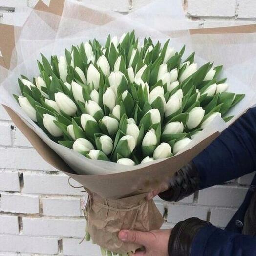101 White Tulips