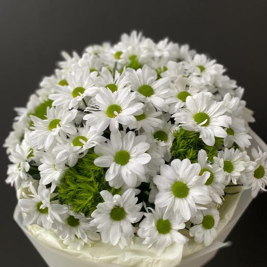 WhiteChrysanthemums