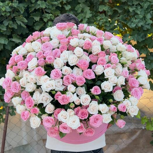 White and pink rose in basket