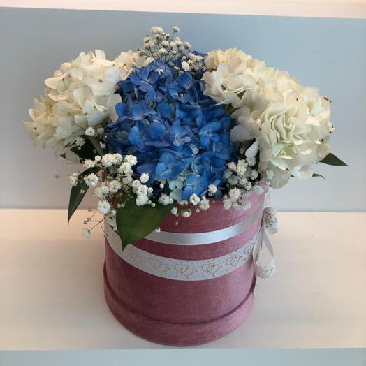 Hydrangea box