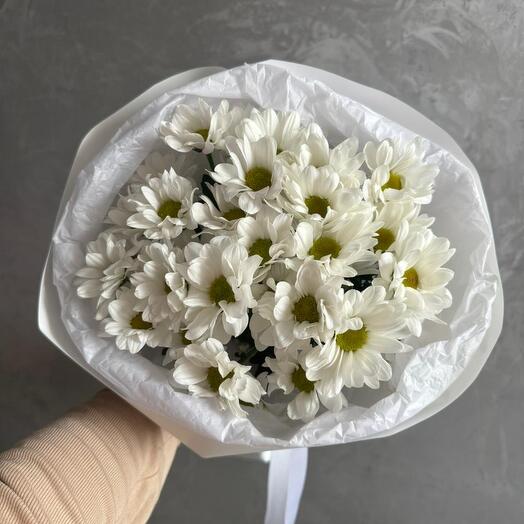 Chamomile