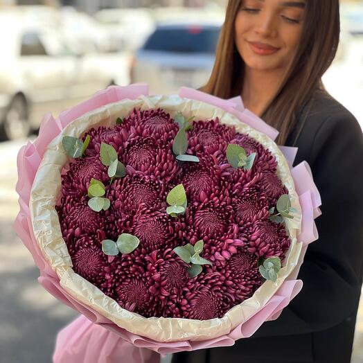 Dark Purple Chysanthemums N-022