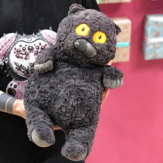 Кот лупоглазик серый