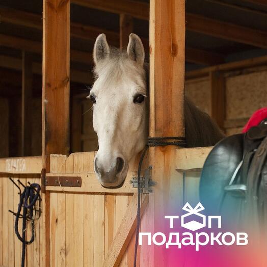 Подарочный сертификат Индивидуальная конная прогулка, 1 чел., будние дни (1 час)