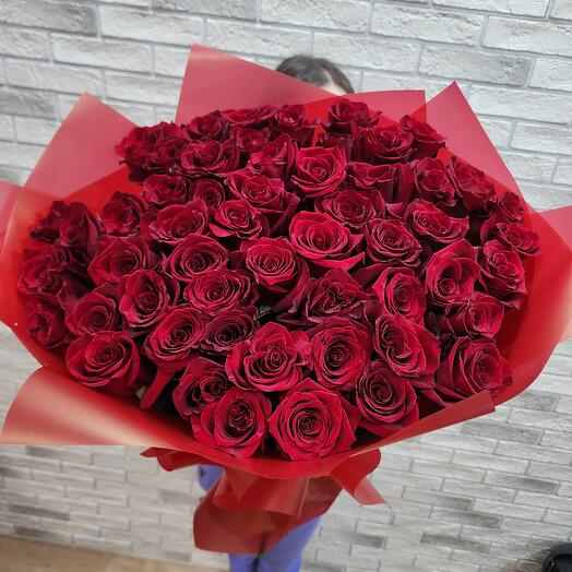 51 Роза Эквадор Эксплоер 🌷