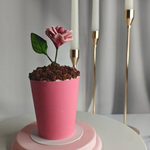 Торт, десерт с цветком, шоколадный стакан