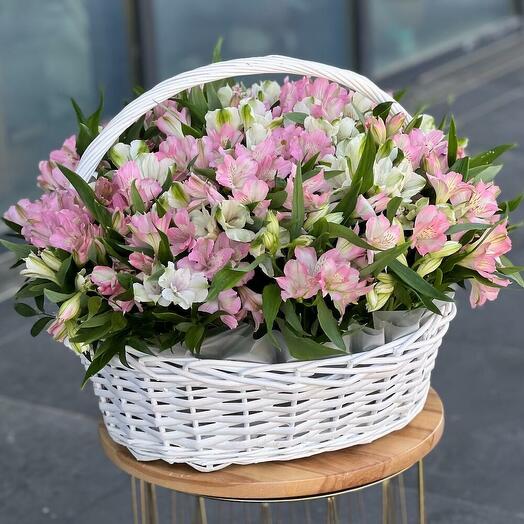 Корзина из 59 альстромерии