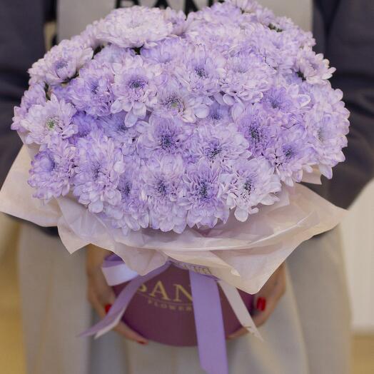 Бокс фиолетовых хризантем