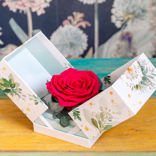 Rosa eterna de jardin en caja deluxe color fucsia