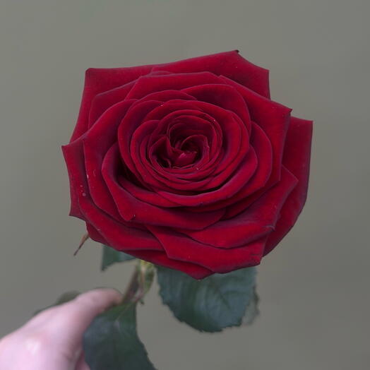 BB Flowers