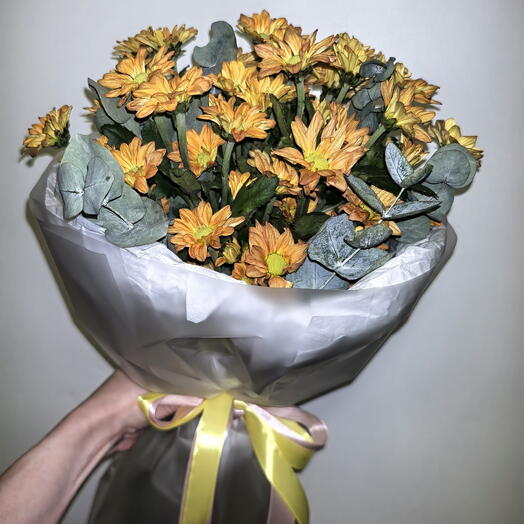 Флокси