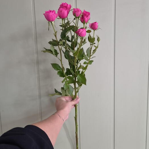 elite bouquet