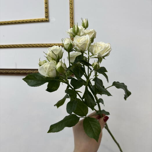 Флора Каменская