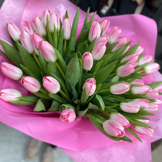 51 Pink tulips