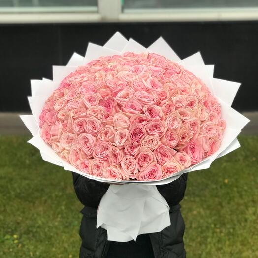 101 Rosas De Peonía