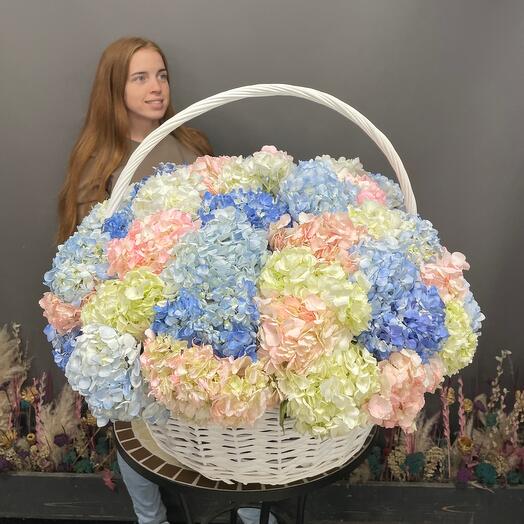 Cesta de hortensias Mega