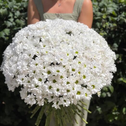 Букет ромашковых хризантем