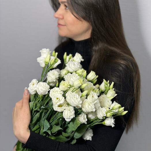 Стойкая эустома