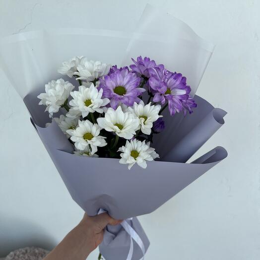 Хризантема кустовая 3 шт💐