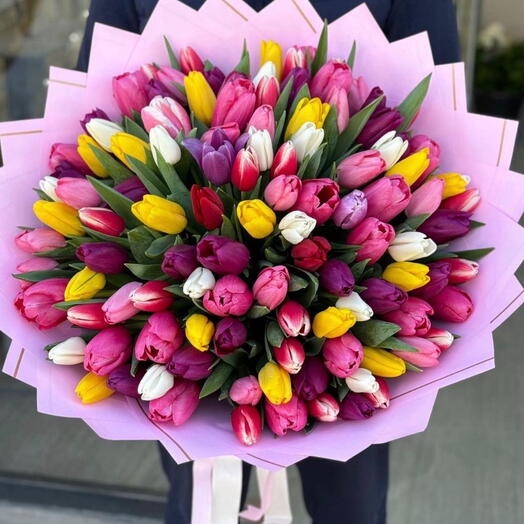 Tulip mix