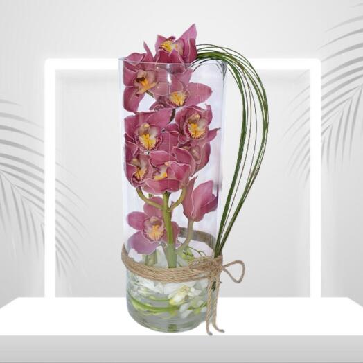 Long Pink Cymbidium