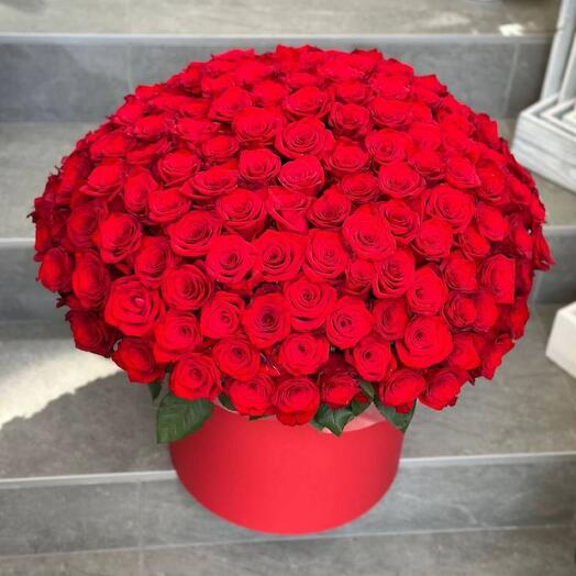 151 red rose in box