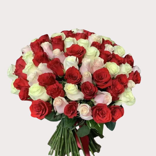 100 Red White   Pink Roses