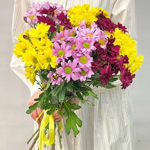 Romashka flowers