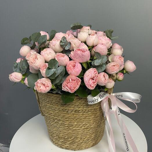 Кустовые розы в кашпо