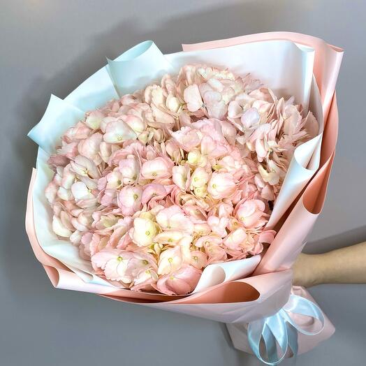 🌸Розовые гортензии в упаковке