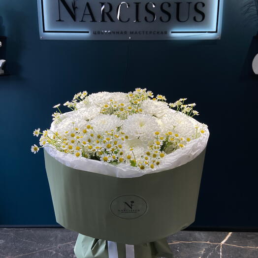 NARCISSUS