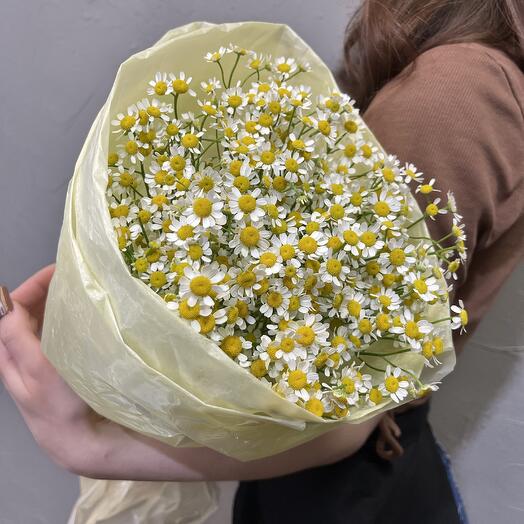Моно из ромашки