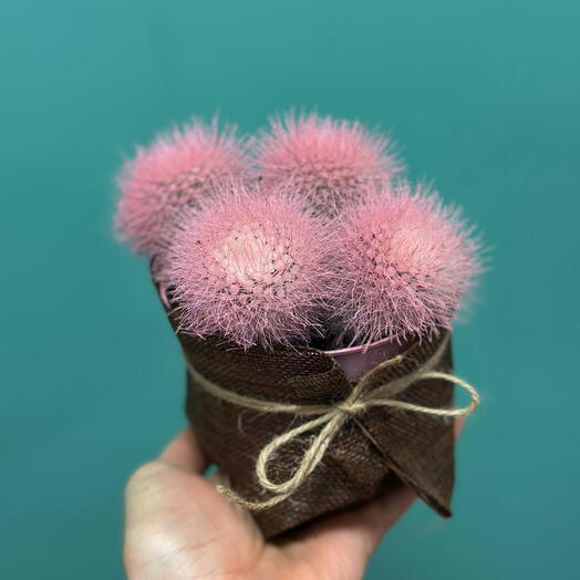 Gift Flower