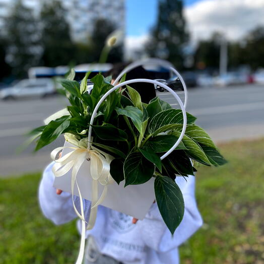 FloraKapriz