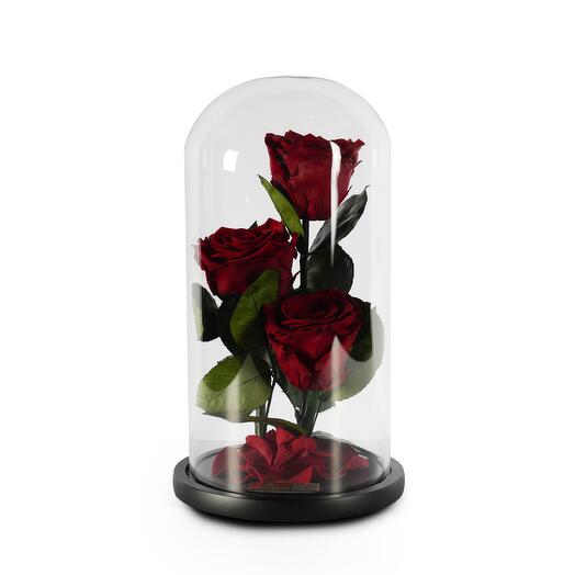 Dark Red Preserved Roses in Glass Dome Trio