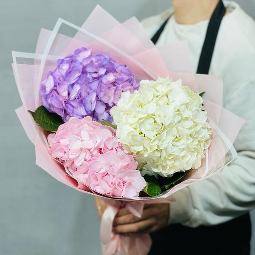 Hortensia . Mezcla de ramo de Hortensias