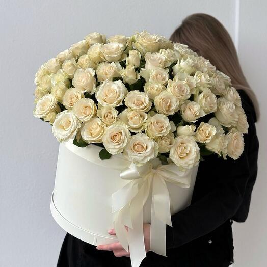 101 white rose in box